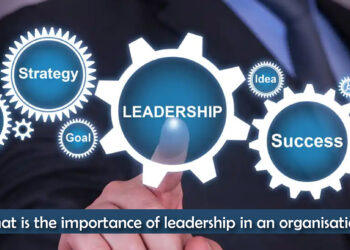 11 Leadership Principles You Can Use at Work